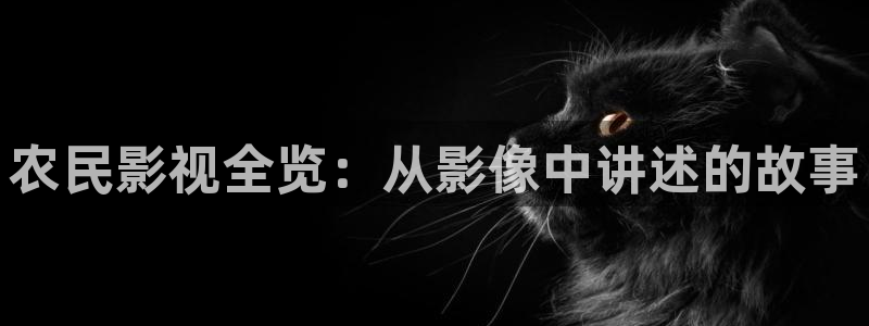 97午夜影院一区二区