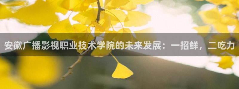 97影院免费在线观看