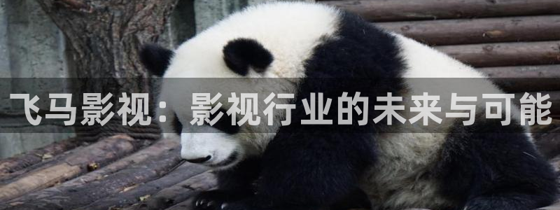 97人妻人人澡人人爽人人学生视频