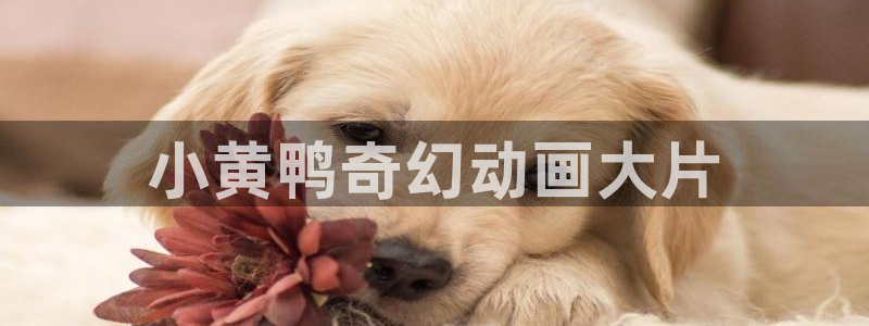 97家庭影院伦理