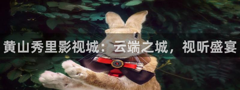 97影院在线观看免费播放电视剧大全